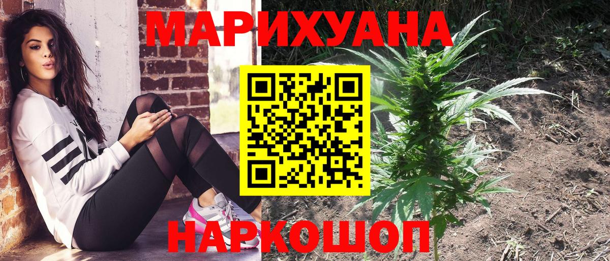 Каннабис гибрид Владикавказ